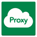 3proxy