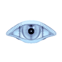 nmap-logo